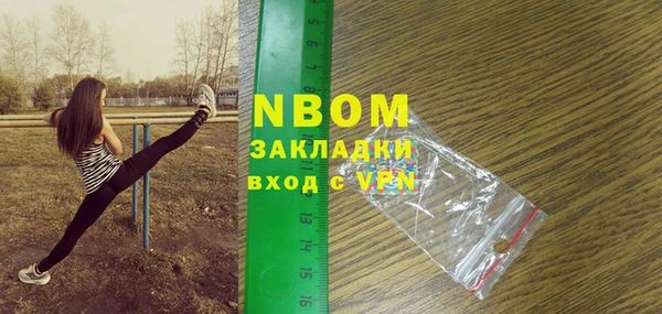 индика Аркадак