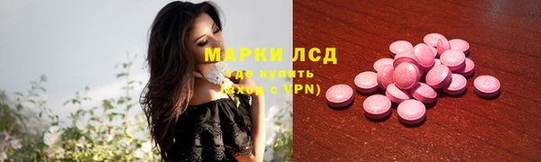 индика Аркадак