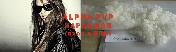 индика Аркадак