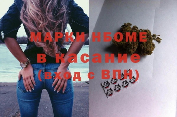 индика Аркадак