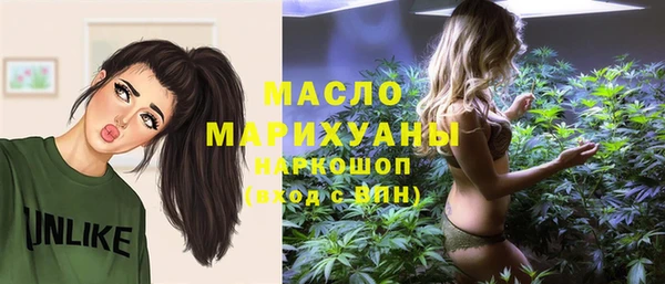 индика Аркадак