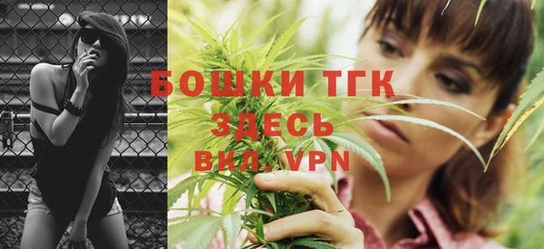 индика Аркадак