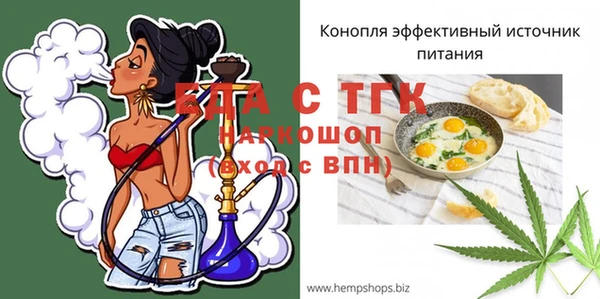 индика Аркадак