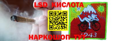 гашик Гусев