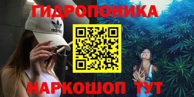 гашик Гусев
