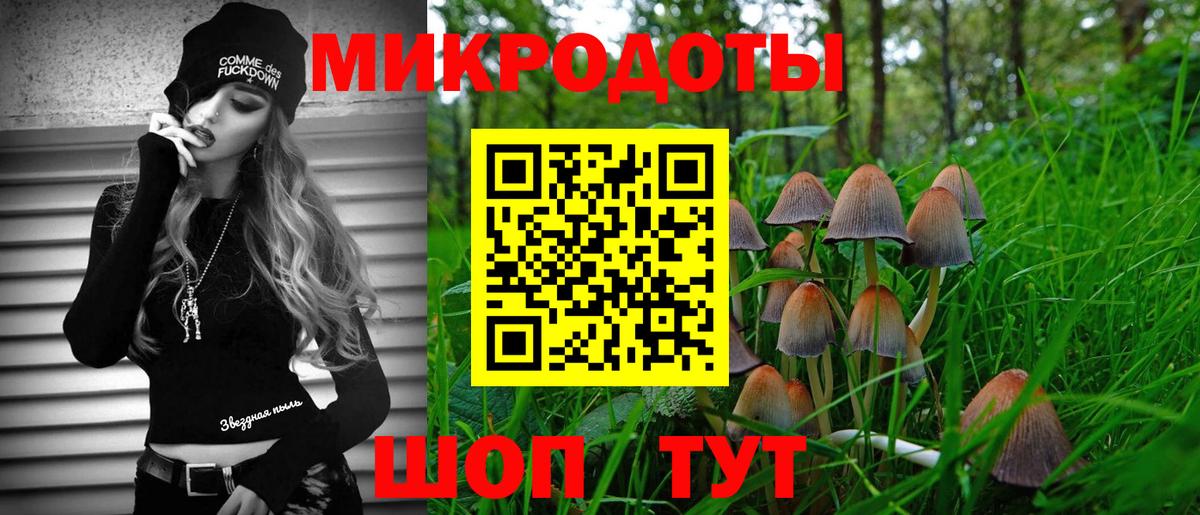 Псилоцибиновые грибы мицелий Нарткала